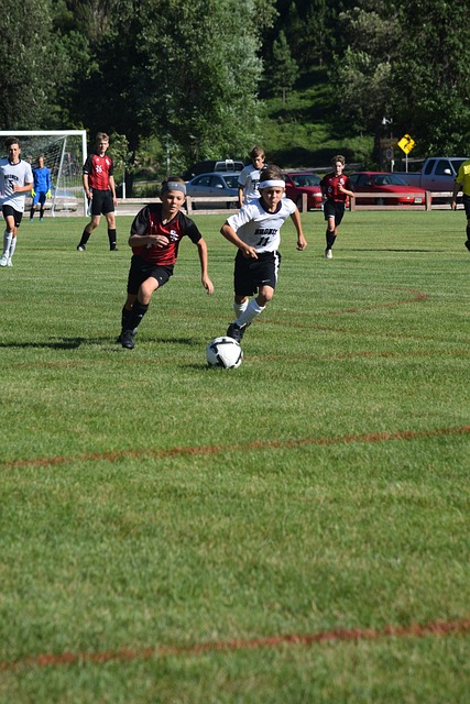 竞争中捍卫 竞争中捍卫