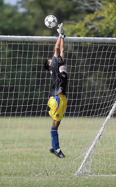 在今年的名 在今年的名