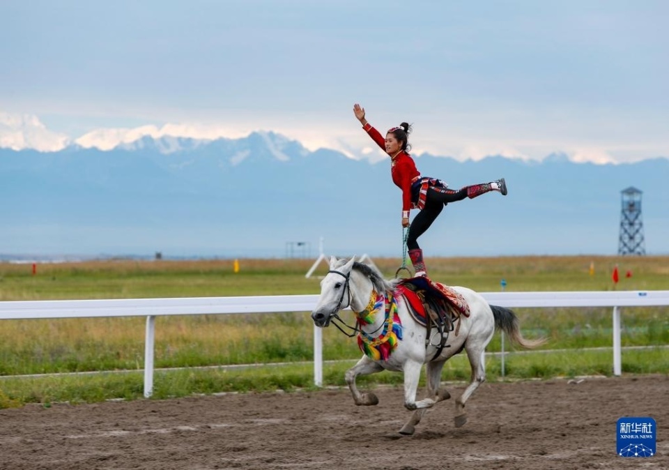 壇炙手可熱 壇炙手可熱