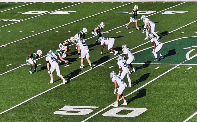 把雙刃劍 把雙刃劍